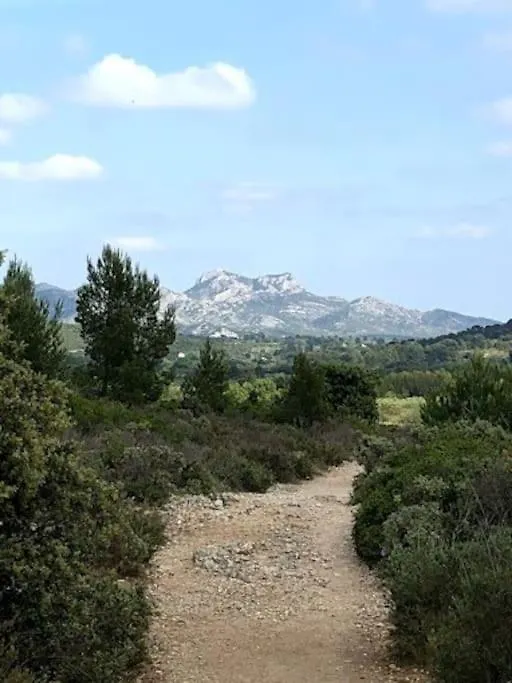 Hébergement de vacances La Pitchoune : Gite Aux Pieds Des Alpilles Mouries
