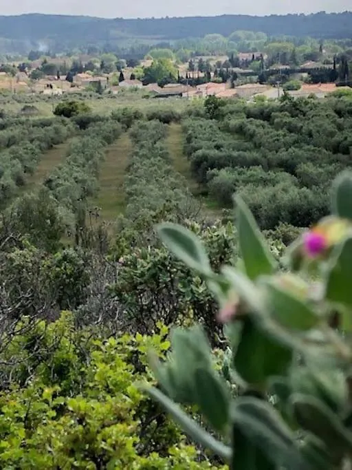 La Pitchoune : Gite Aux Pieds Des Alpilles Mouries 0*,