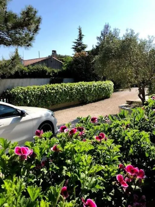 La Pitchoune : Gite Aux Pieds Des Alpilles Mouries Hébergement de vacances